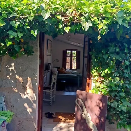 Arthouse Mit Haus Galeria 110qm Und Appartementhaus Mit Patio 30qm Campos (Mallorca)