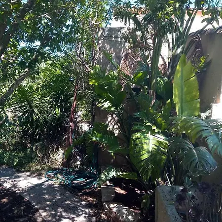 Arthouse Mit Haus Galeria 110qm Und Appartementhaus Mit Patio 30qm Campos (Mallorca)